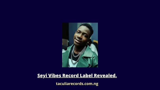 seyi vibez record label revealed